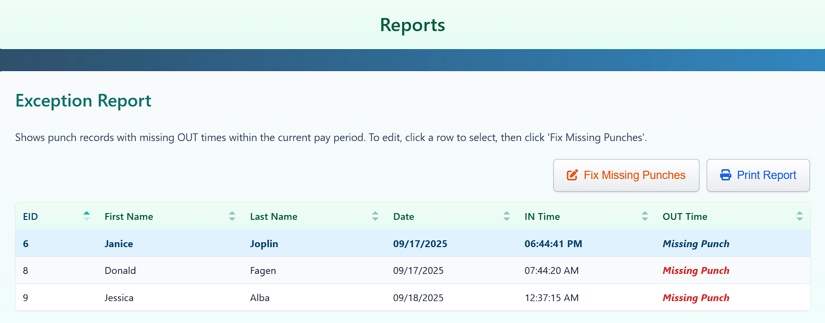 Exception Report modal showing a missing punch